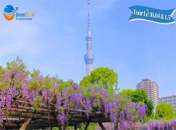 [HCM] Tour Nhật Bản Lễ 30/4 Tại Làng Cổ Tích Shirakawago
